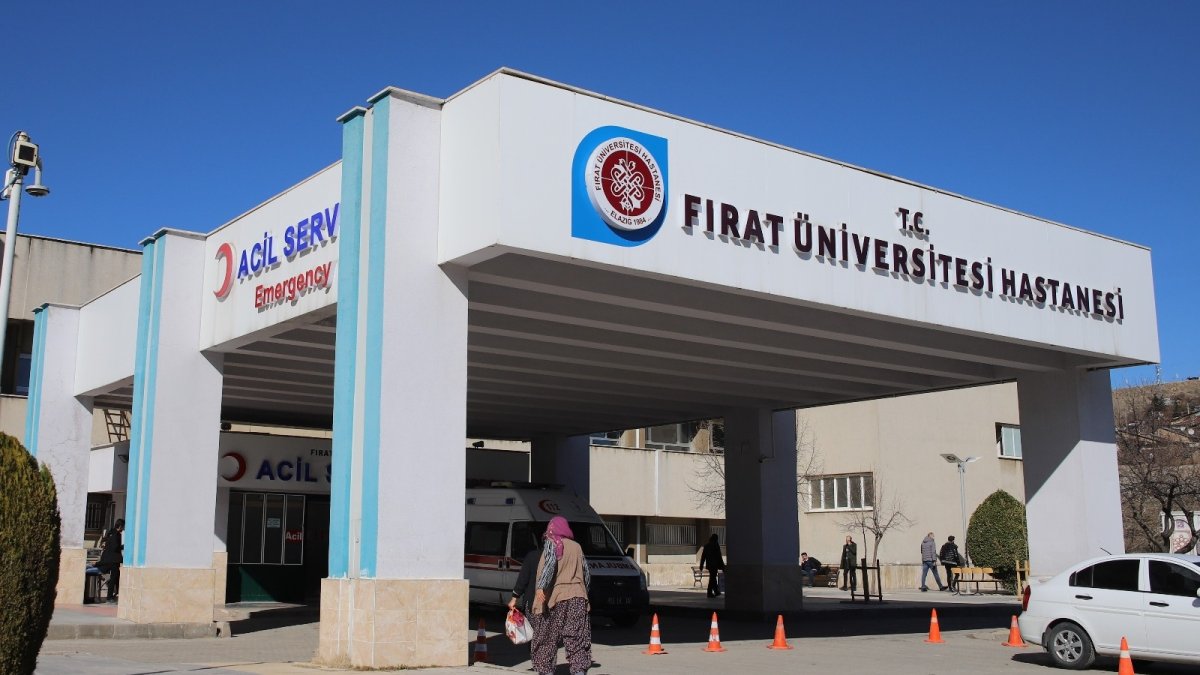 Eşek, çocuğun kafasını ısırdı