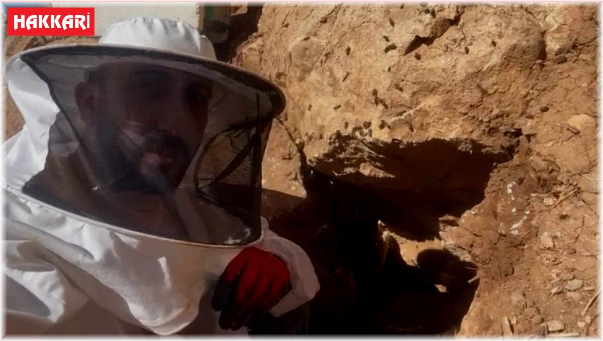 Eşek sırtında dağ bayır dolaşarak kaya balı arıyor