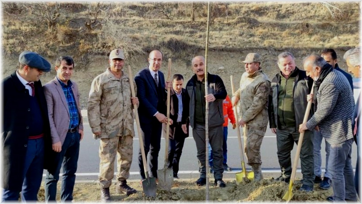 Esendere Belediyesi 500 fidan dikti