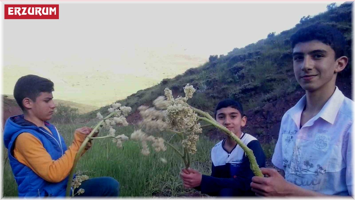 Eşgin tezgâhlara çıktı, demeti 30 lira