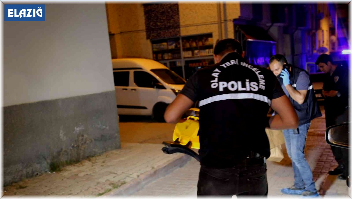 Eşini öldürdükten sonra arama motorundan cezai ehliyeti olmayan hastalıkları aramıştı: Akıl sağlığı yerinde çıktı