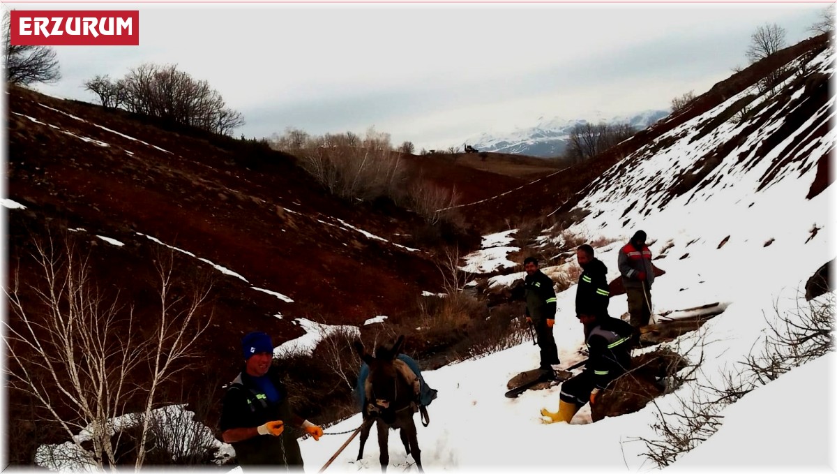 ESKİ ekipleri karlı dağları aşıyor