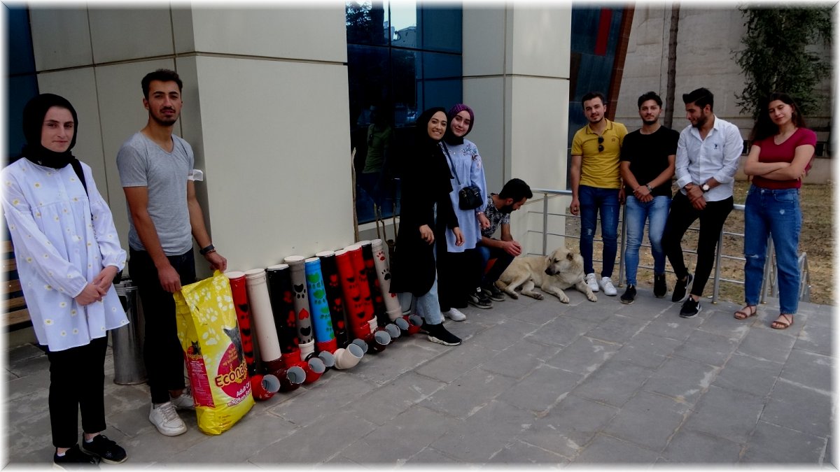 Eski su borularından sokak hayvanları için su ve mama kapları yaptılar