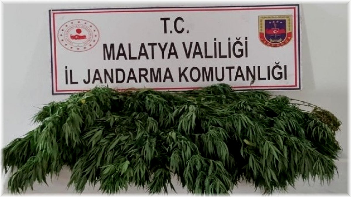 Esrar ve hint keneviri ele geçirildi