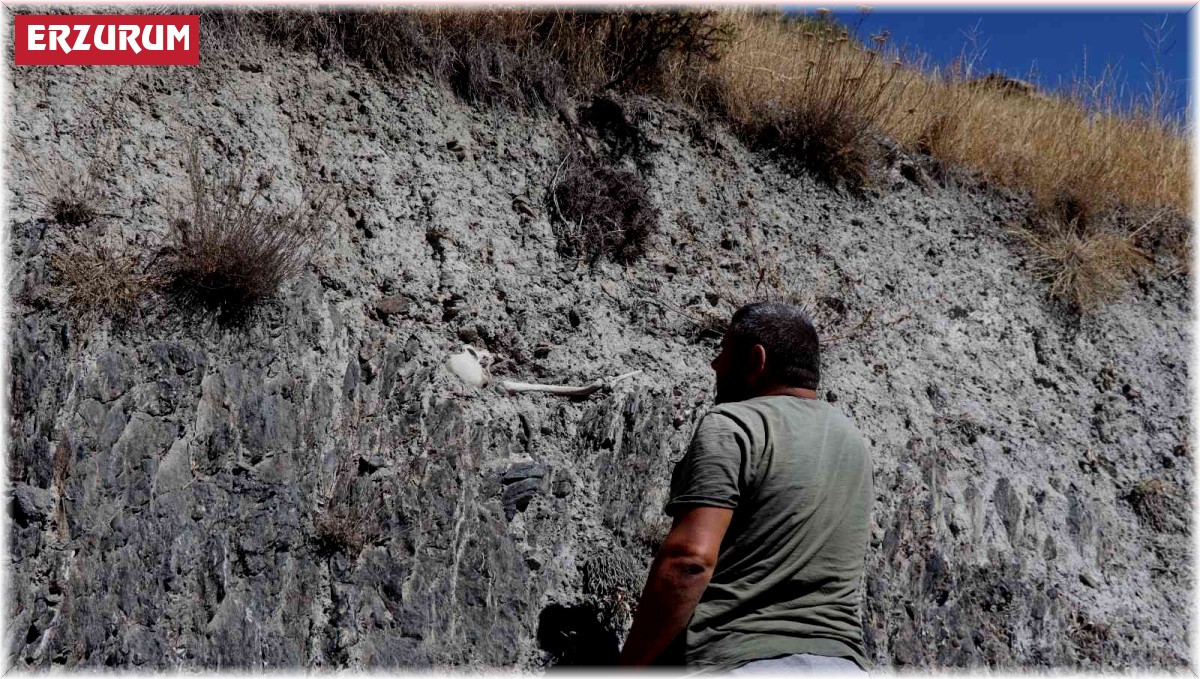 Esrarengiz insan iskeleti yol kenarında gözüküyor