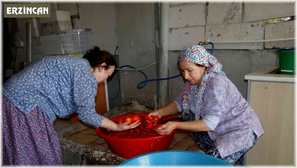 Ev ekonomisine salça katkısı