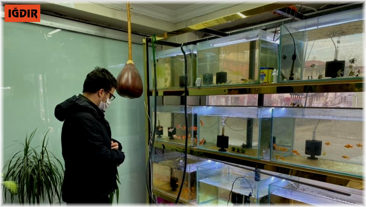 Ev ve süs hayvanı satış yerleri denetlendi