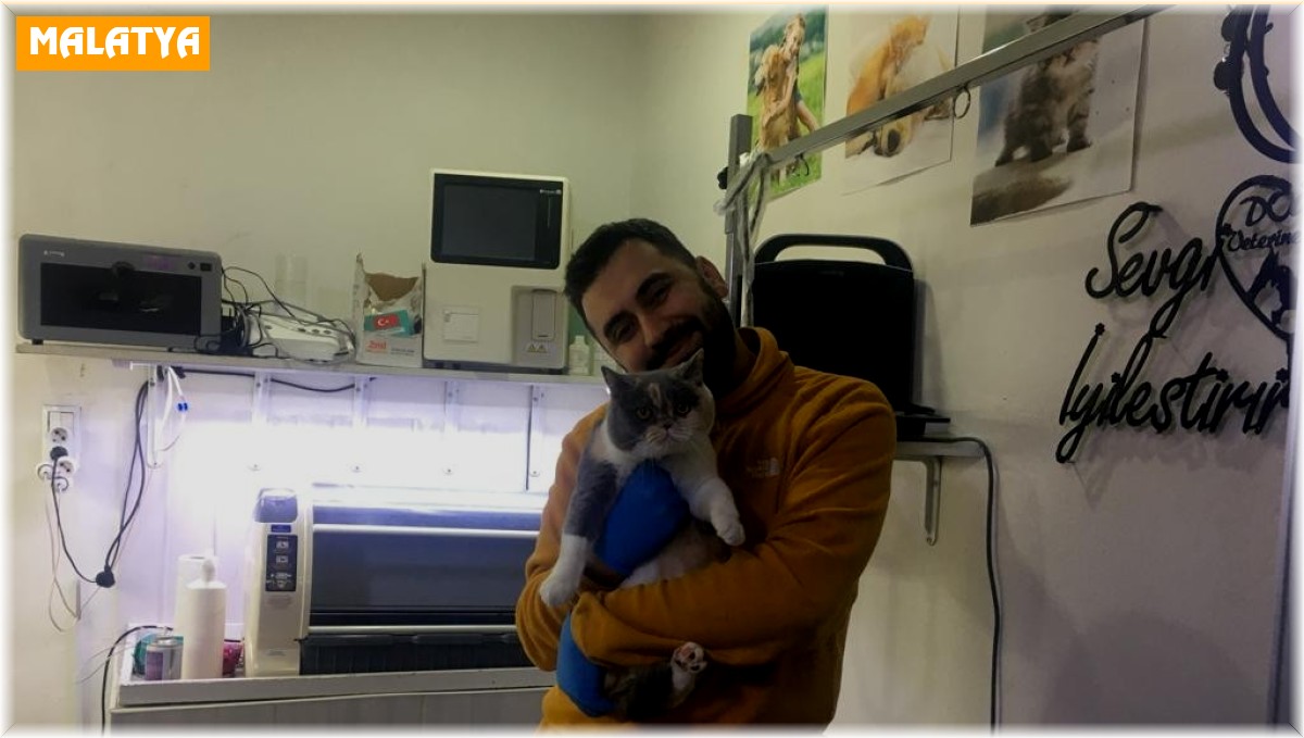 Evcil hayvanlara mikroçip taktırma için son gün 31 Aralık