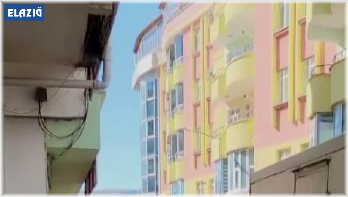 Evcil karga 'ekmeğinin' peşinde: Karnını doyurduktan sonra öpücük atıp gidiyor