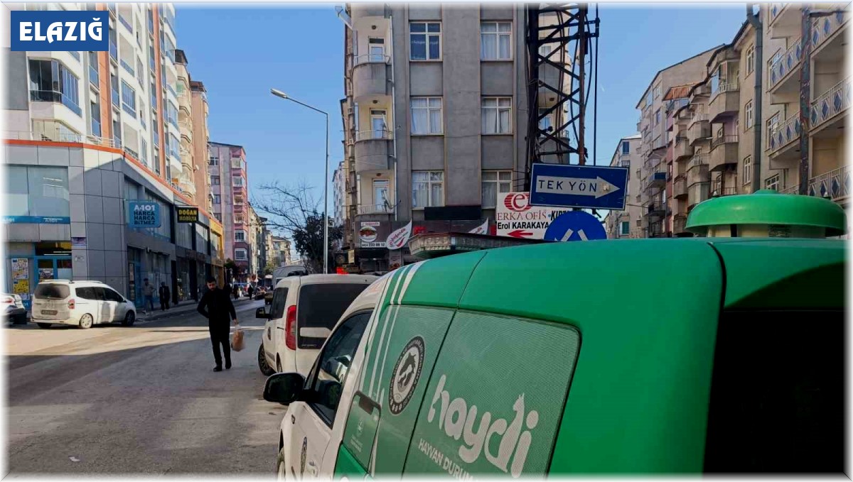 Evde unutulan kediyi HAYDİ unutmadı