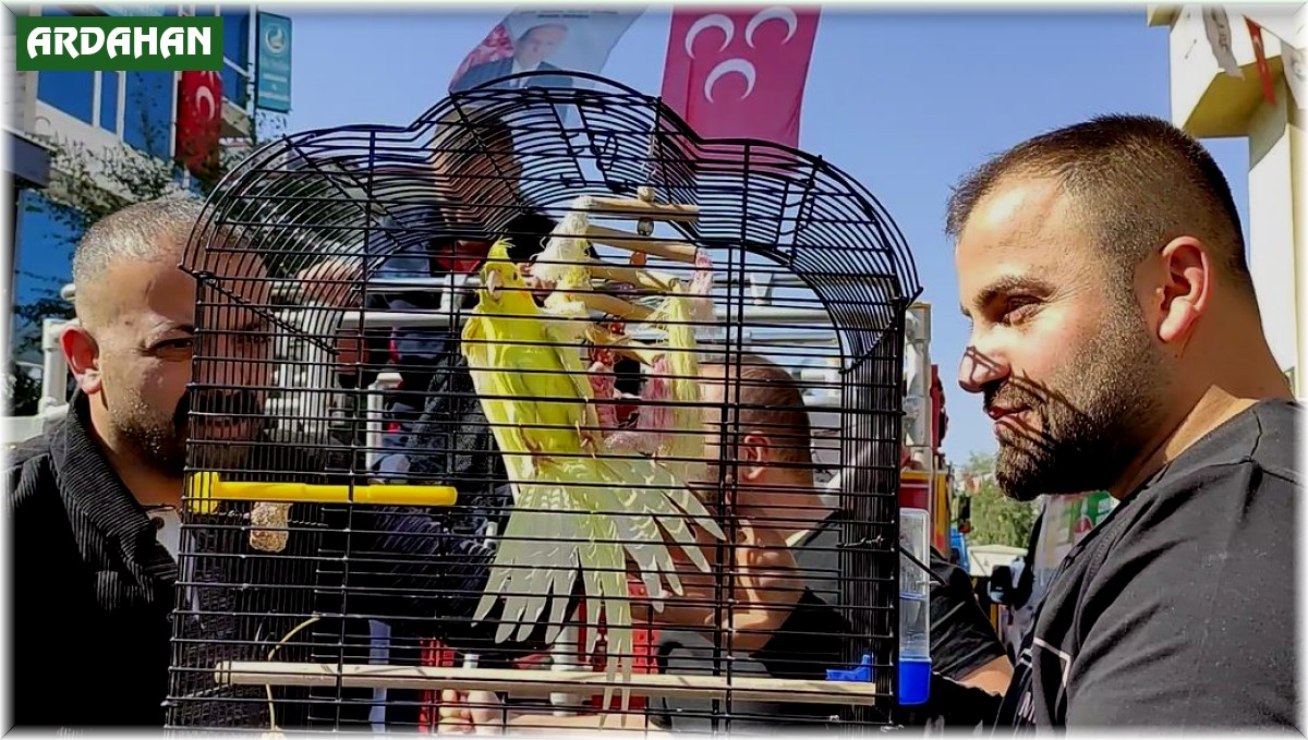 Evden kaçan sultan papağanını bulmak için bir il seferber oldu