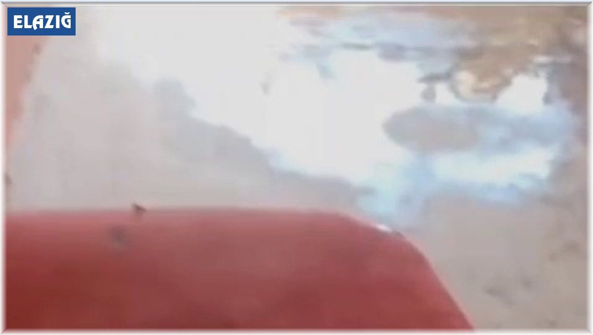 Evine giren yılanı çamaşır mandalı ile yakaladı