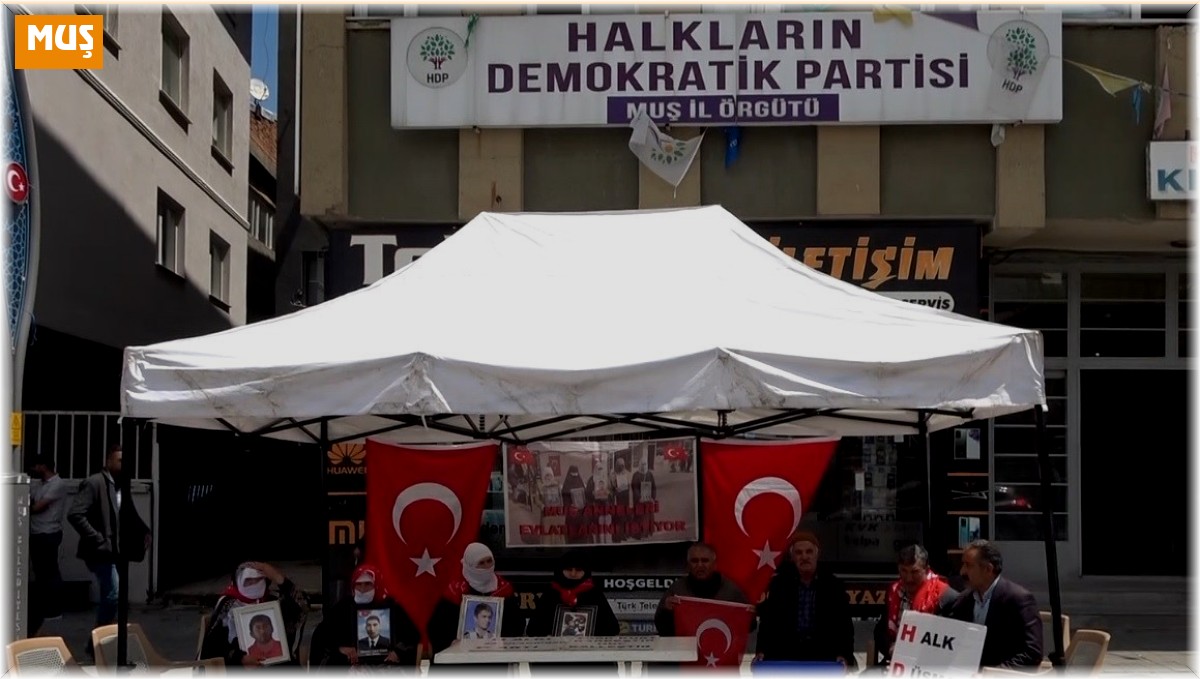 Evladı dağa kaçırılan anne: "Demirtaş'ı cezaevinden çıkaracaklardı. Şimdi çıkarsınlar da görelim"