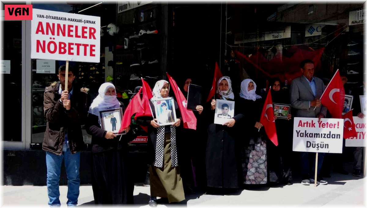 Evlat nöbetindeki anne: 'HDP milletvekilleri sizi kandırıyorlar'