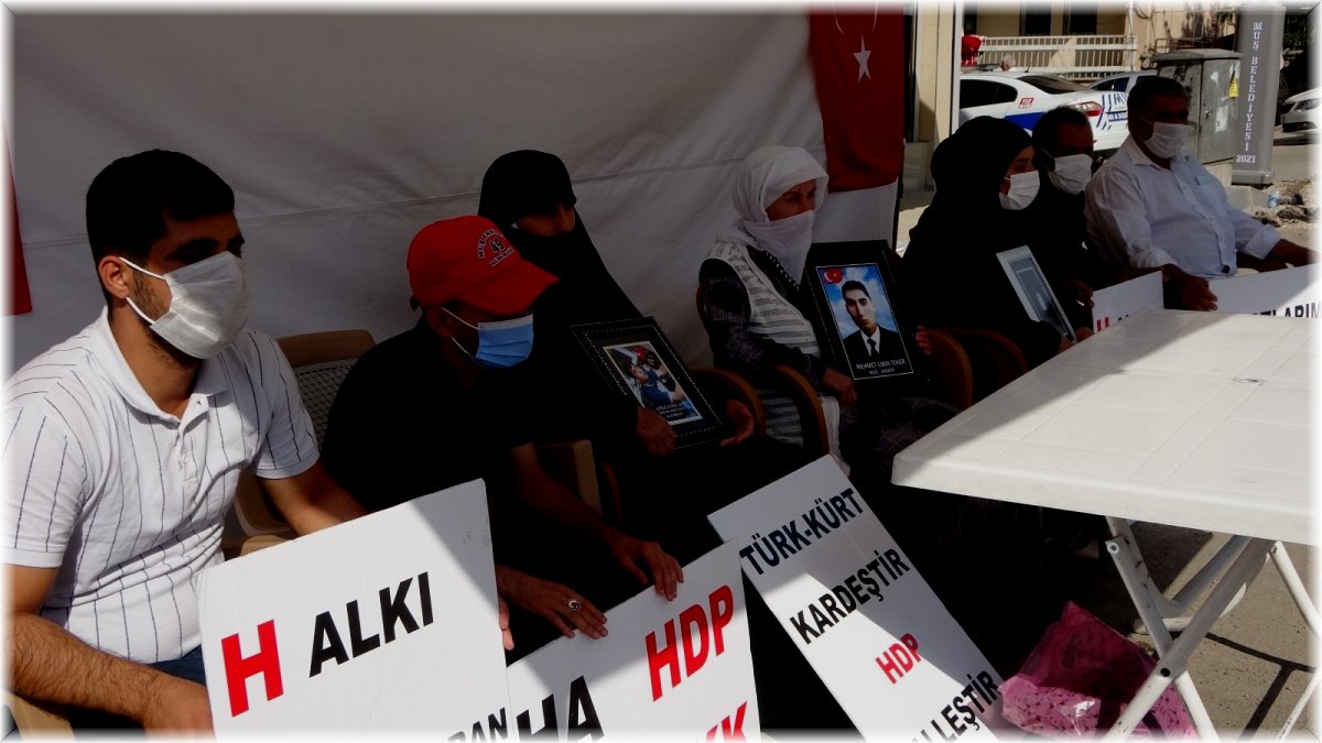 Evlat nöbetindeki anneler: "PKK hem ormanlarımızı hem de yüreğimizi yaktı"