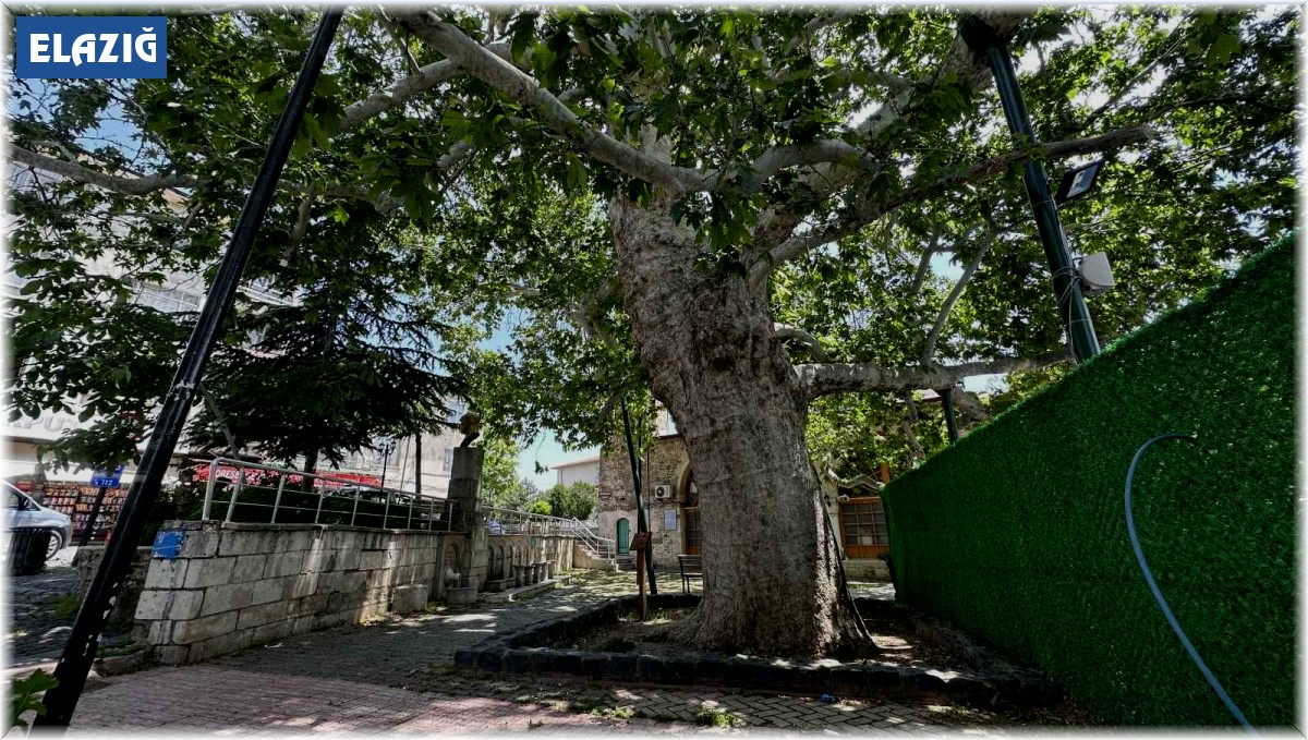 Evliya Çelebi gölgesinde not almıştı, ağırlığını kaldıramayınca güçlendirildi