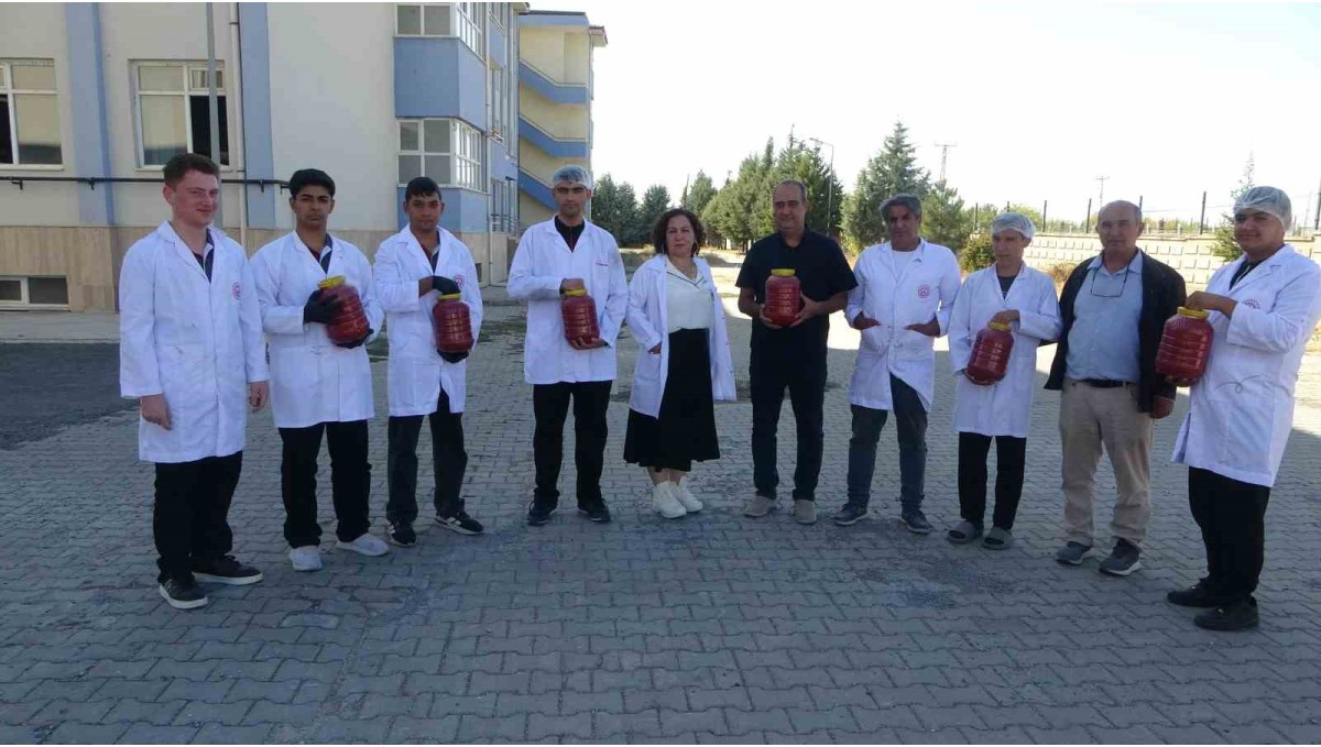 Fabrika gibi okul: Malatya'da öğrenciler domates yetiştirip salça üretiyor