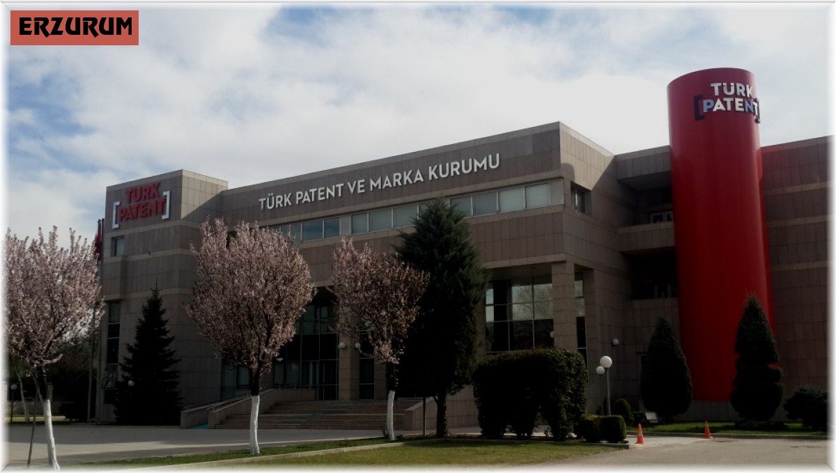 Faydalı Modelde Erzurum, Malatya rekabeti