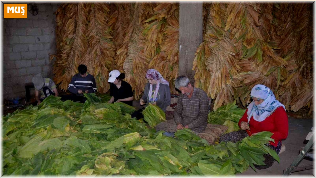 Fedakar çift tütünden kazandığı parayla çocuklarını okutuyor