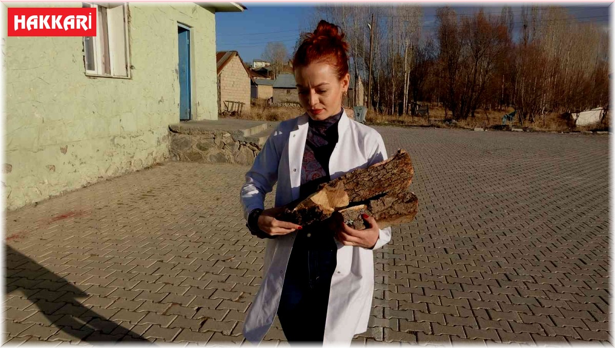 Fedakar öğretmen soba yakıyor, sınıfı temizliyor