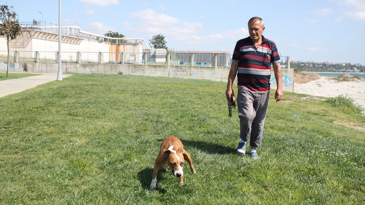 Felçli köpeğine her gün 2 saat antrenman yaptırıyor