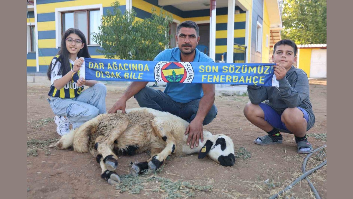 Fenerbahçe'nin makus tarihi değişsin diye, adadıkları hayvanı kestiler