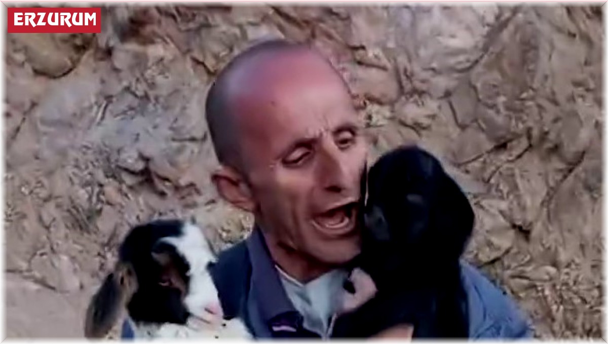 Fenomen çobanın hayvan sevgisi gülümsetiyor