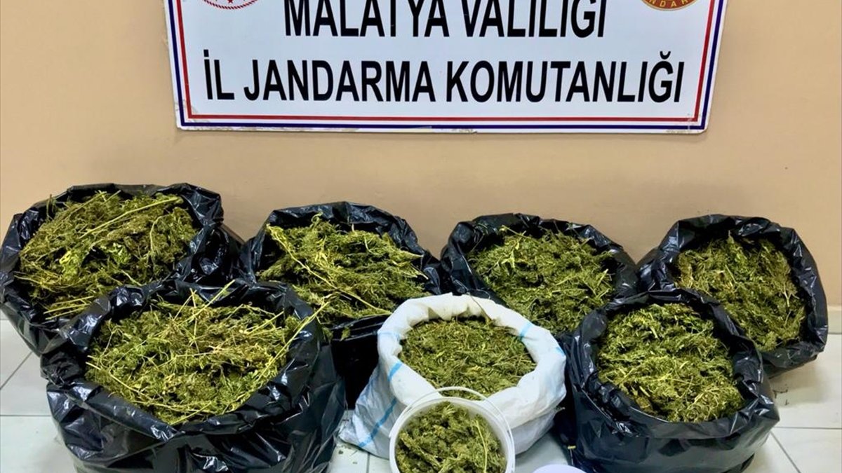 Feribotla uyuşturucu sevkiyatı yapan şüpheli Malatya'da yakalandı