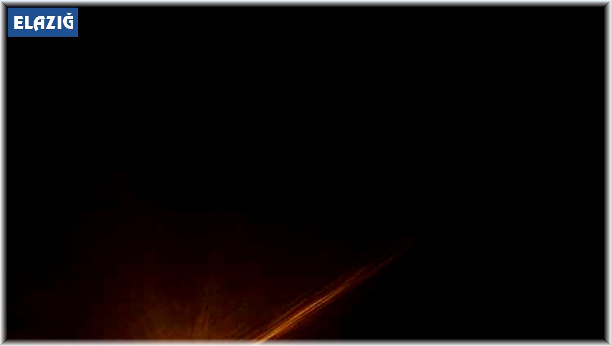 Feribotta bıçaklı kavga: 1 yaralı