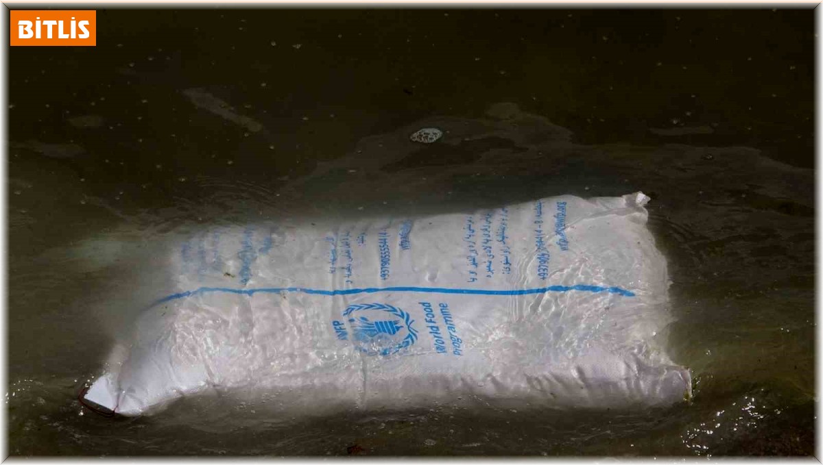 Feribottan Van Gölü'ne düşen vagonların içindeki torbalar sahile vurdu