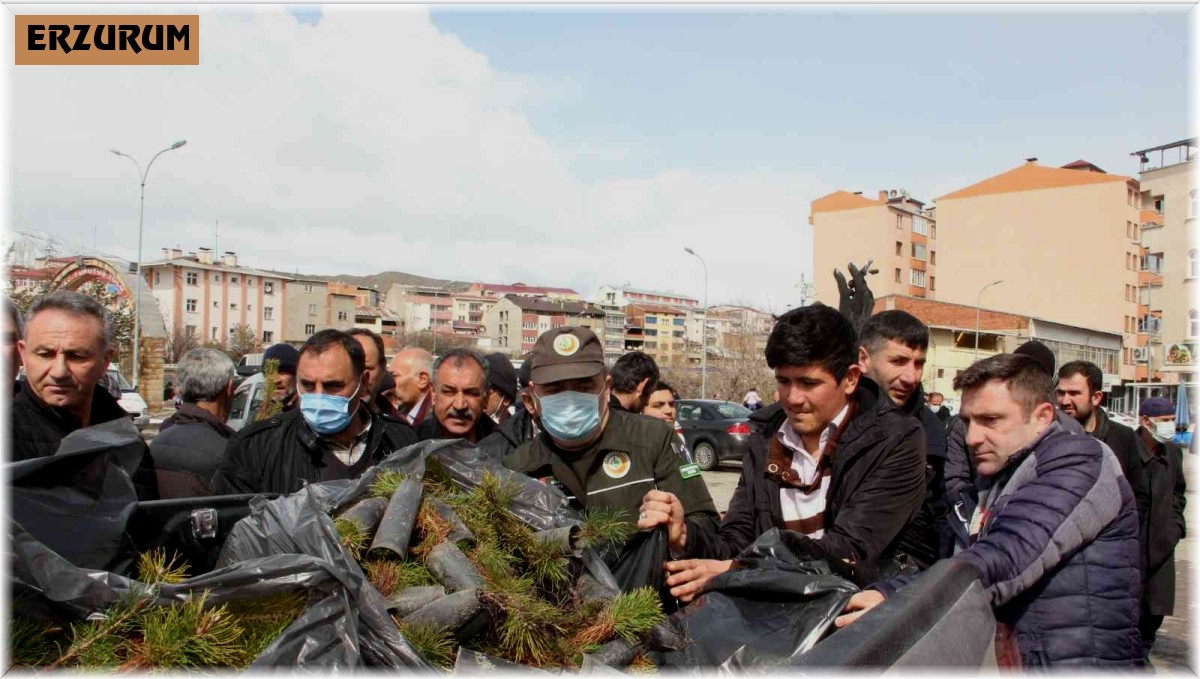 Fidan dağıtımında izdiham yaşandı