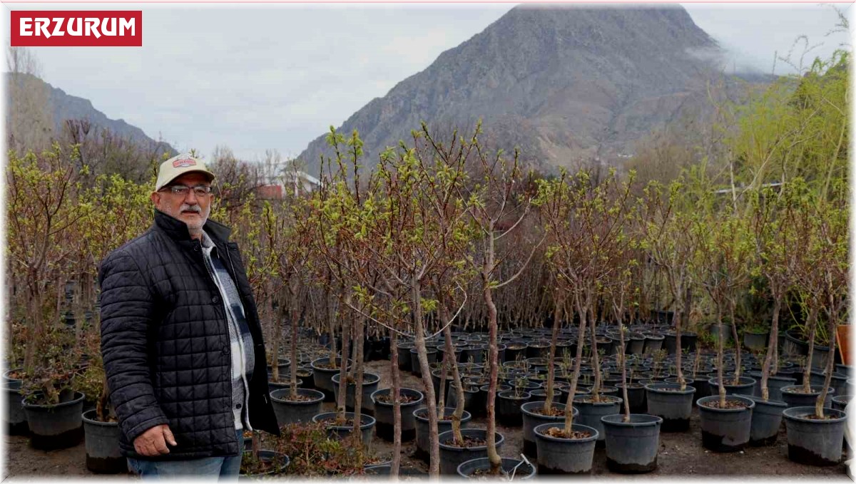 Fidan dikmenin şimdi tam zamanı