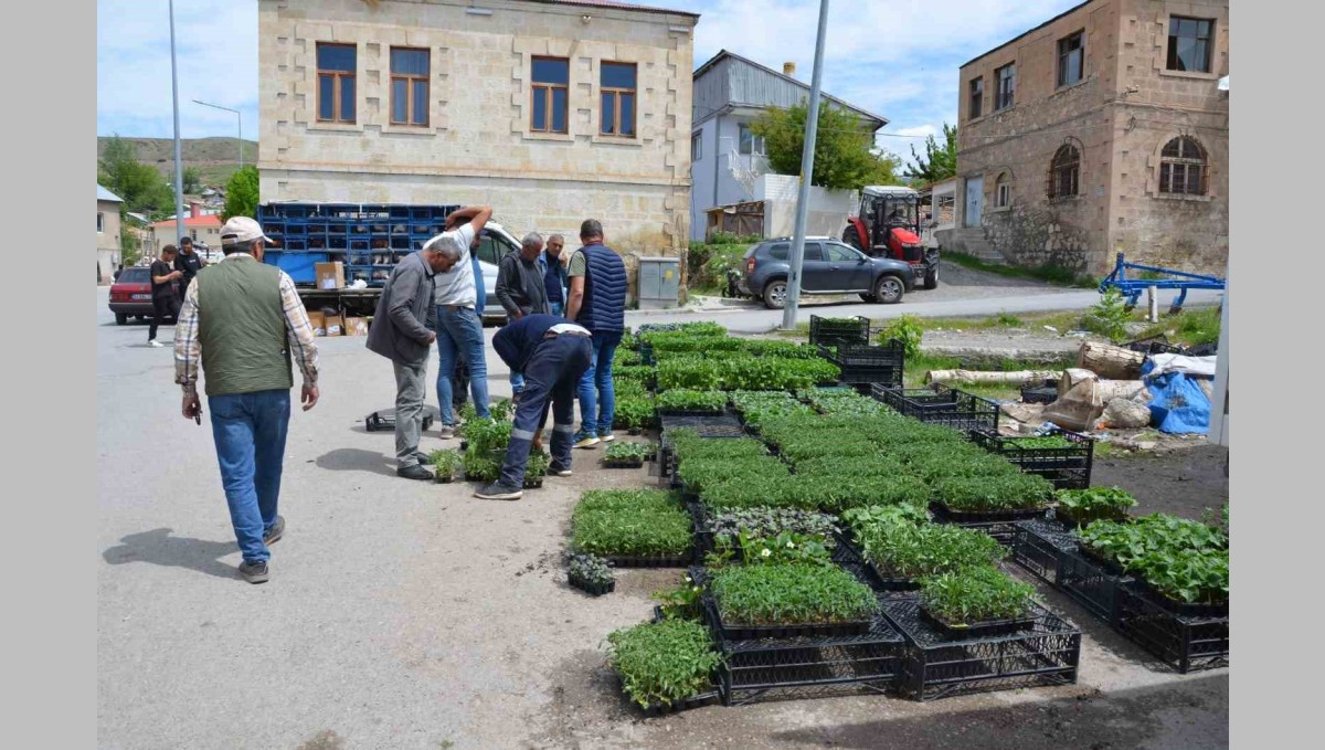 Fideleri bahçesine ekenler kendi yetiştirip kendi yiyor