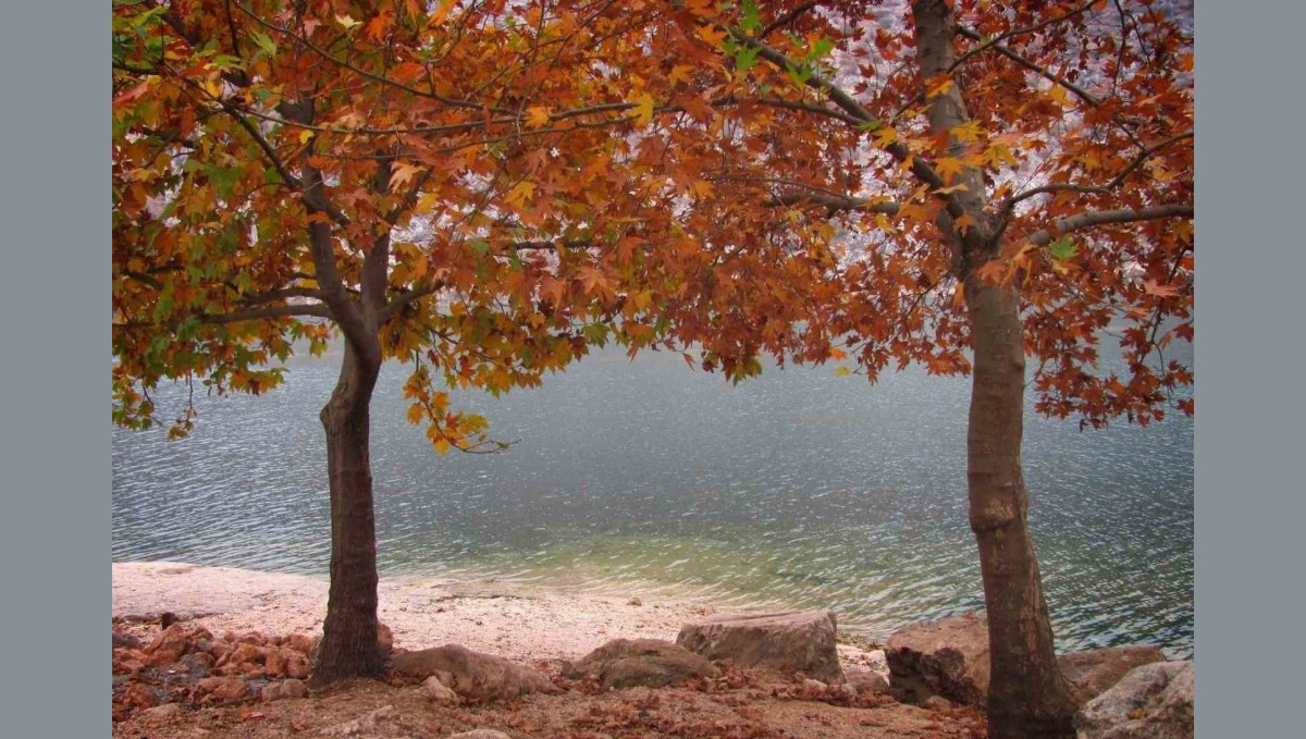 Fırat'ın sessiz akışına sonbahar renk kattı