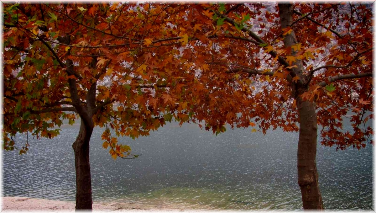 Fırat Nehri kıyısında sonbahar bir başka güzel