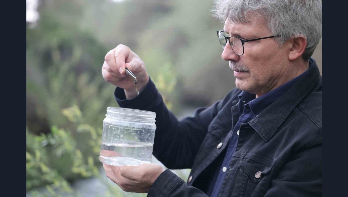 Fırat Üniversitesinden bilim dünyasına katkı: Elazığ'da yeni sülük türleri keşfedildi