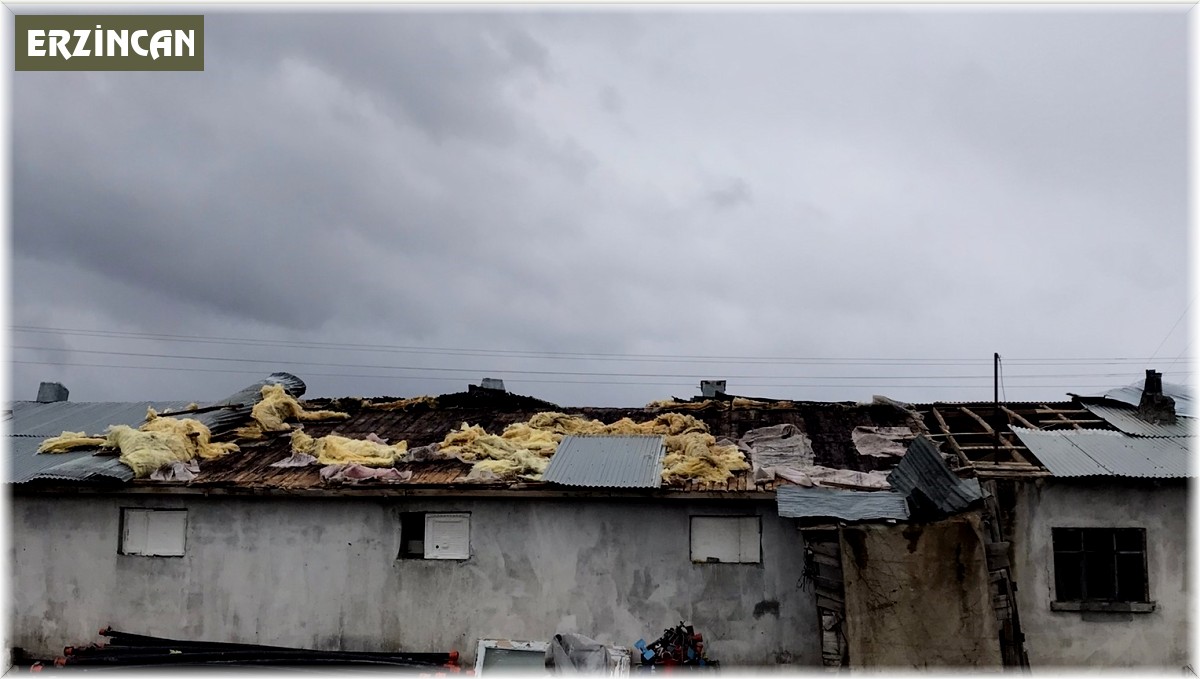 Fırtınanın çatısını uçurduğu ahırda 15 kuzu telef oldu