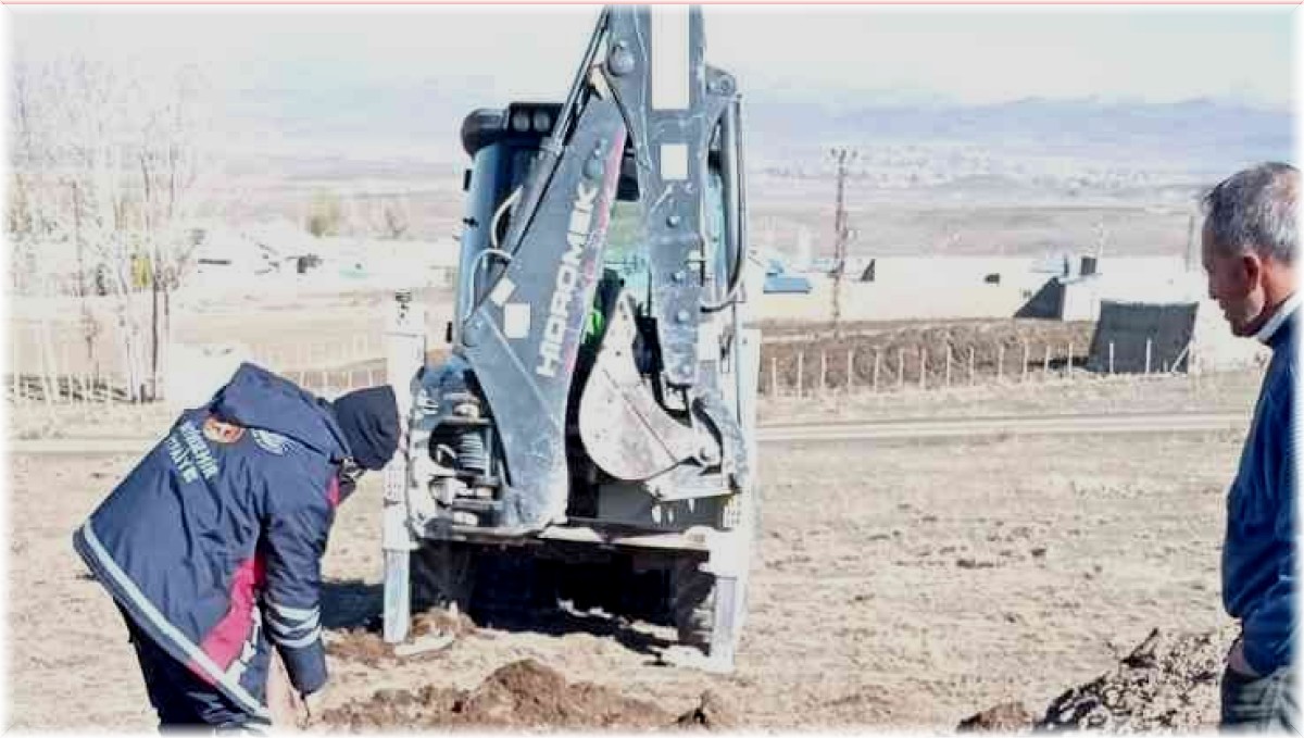 Fosseptik çukuruna düşen at kurtarıldı
