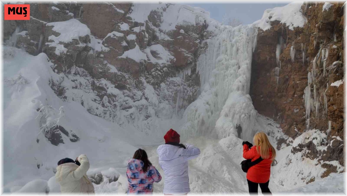 Fotoğraf sanatçıları kışın güzelliklerini fotoğrafladı