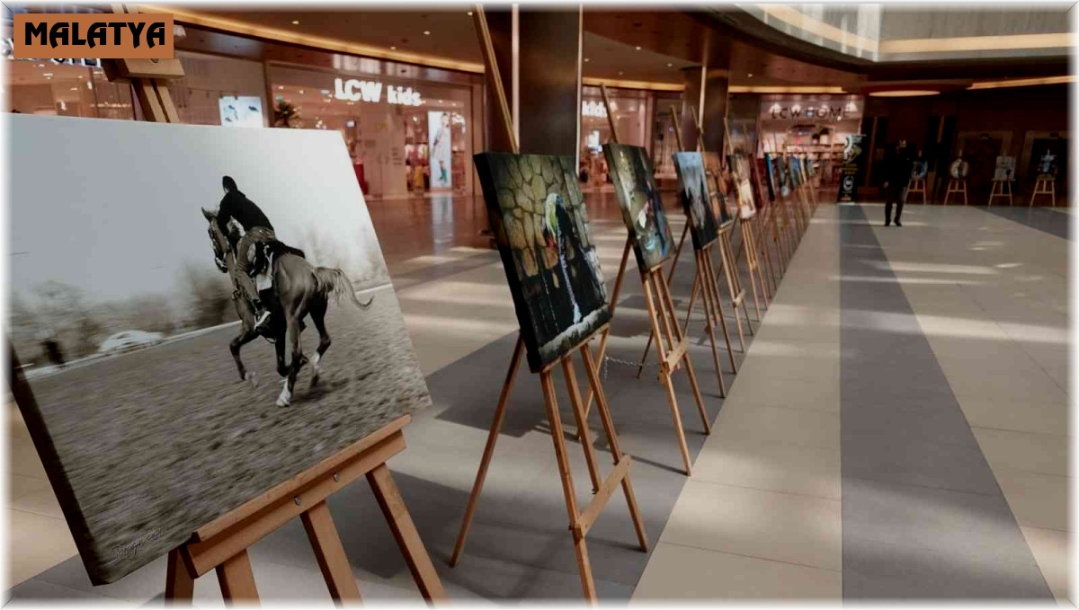 Fotoğraflar sanatseverlerle buluşturuldu