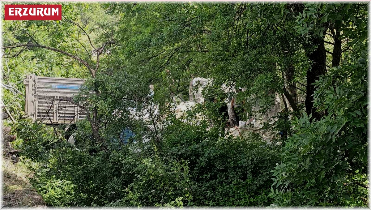 Freni boşalan un yüklü kamyon Çoruh Nehrine uçtu