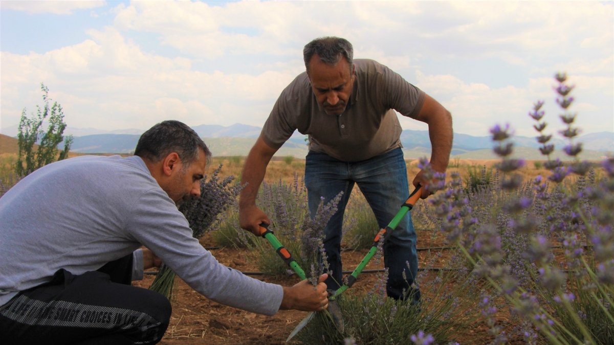 Fuarda görüp ekimini yaptığı lavantayı, ekonomiye ve turizme kazandırmayı hedefliyor