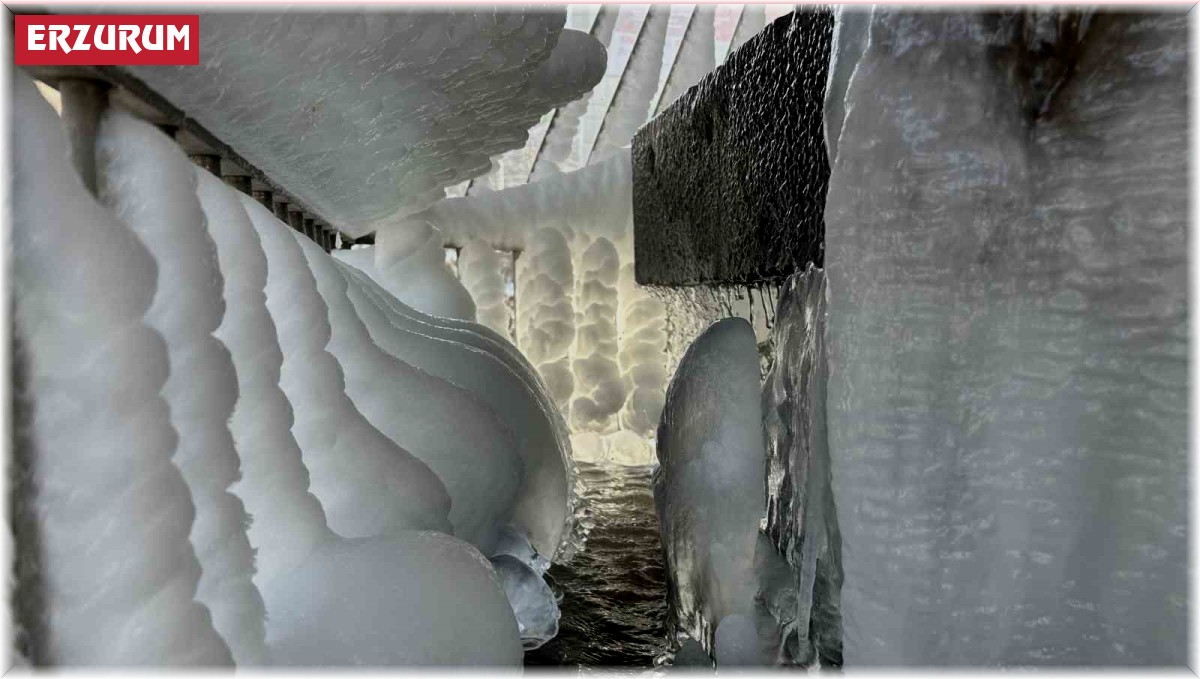 Gece eksi 24'e düşen hava sıcaklığı Erzurum'u dondurdu
