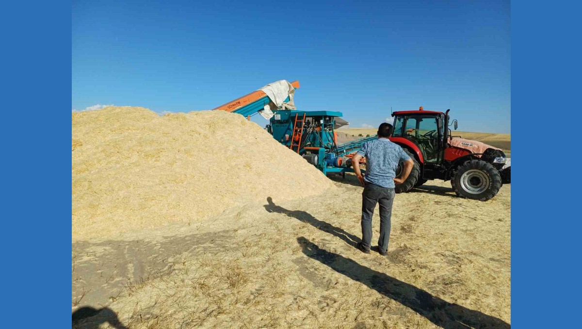 Geçen yıl tarlada çürüyen saman, bu yıl çiftçinin yüzünü güldürdü