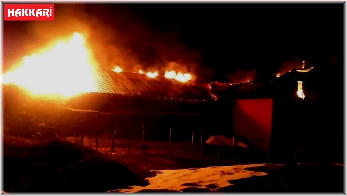 Geceyi aydınlatan yangında ev küle döndü