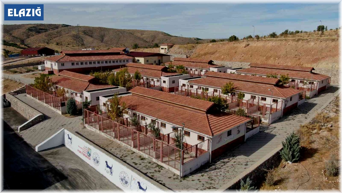 Geçici Hayvan Bakımevi Rehabilitasyon Merkezi'nde 5 yılda 8 bin hayvan tedavi edildi