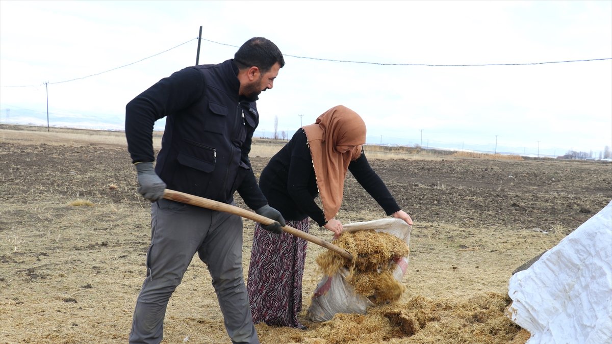 Gelin gittiği Ağrı'da köye ayak uyduran kadın besicilikte örnek oluyor