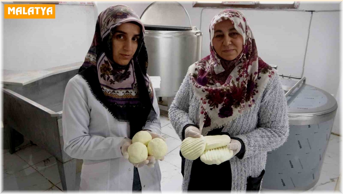 Gelin kaynana el ele verdi, peynir üretip satıyorlar