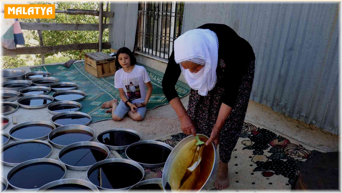 Gelin kaynana pekmez üretip satıyor