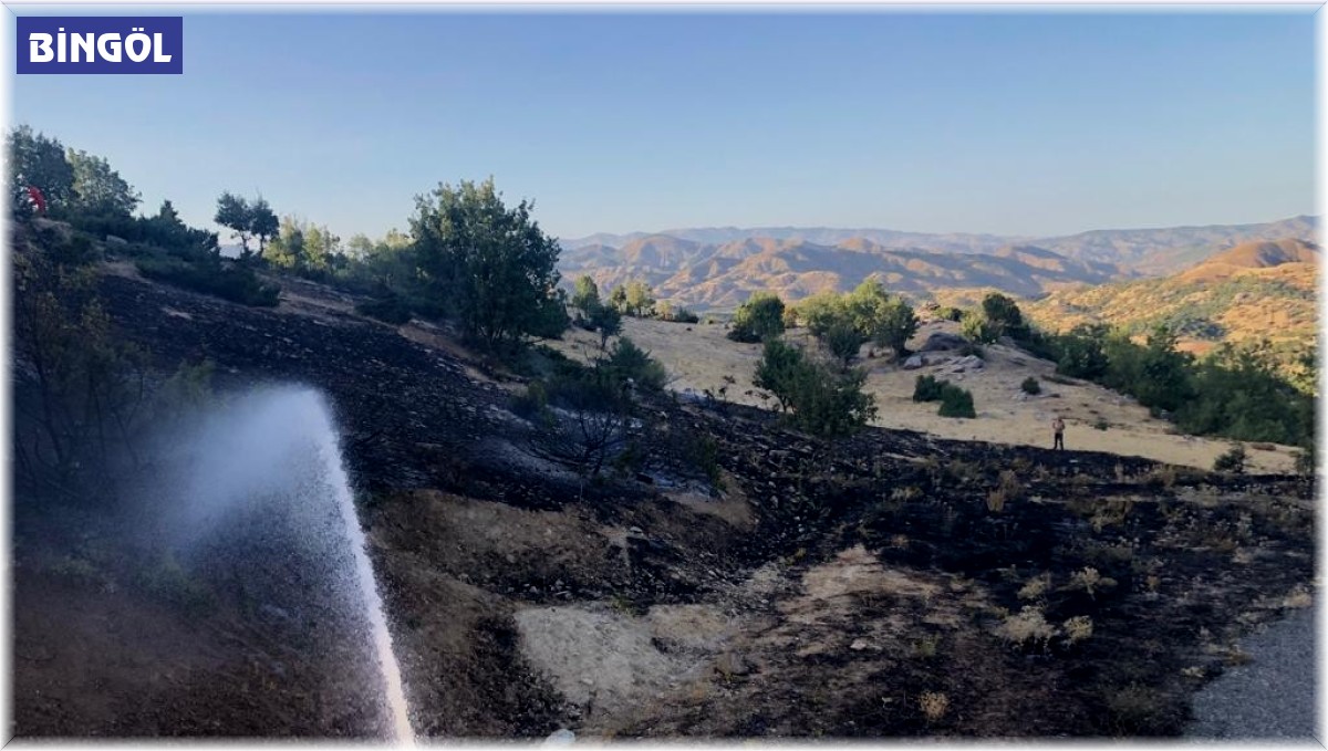 Genç ilçesindeki orman yangını söndürüldü